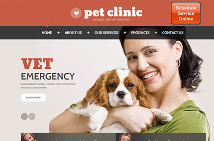 Pet Clinic